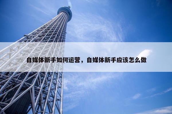 自媒体新手如何运营，自媒体新手应该怎么做