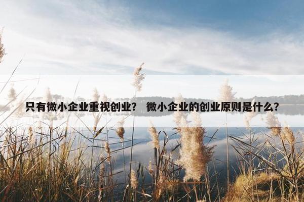 只有微小企业重视创业？ 微小企业的创业原则是什么？