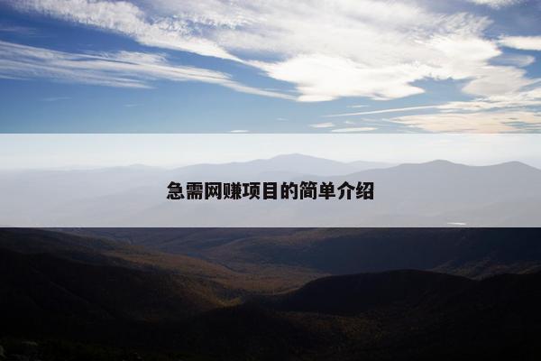 急需网赚项目的简单介绍