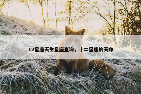 12星座天生星座查询，十二星座的天命
