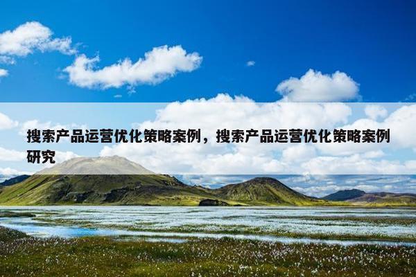 搜索产品运营优化策略案例，搜索产品运营优化策略案例研究