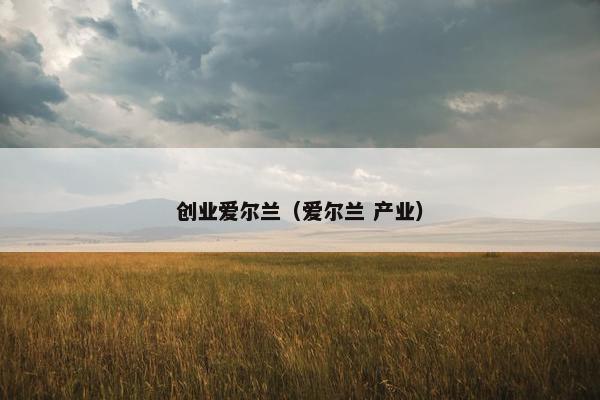 创业爱尔兰（爱尔兰 产业）
