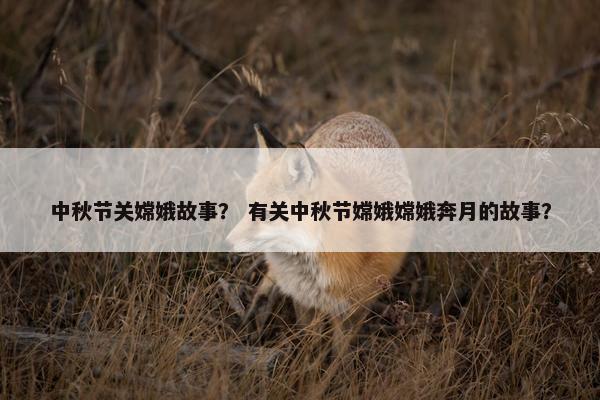 中秋节关嫦娥故事？ 有关中秋节嫦娥嫦娥奔月的故事？