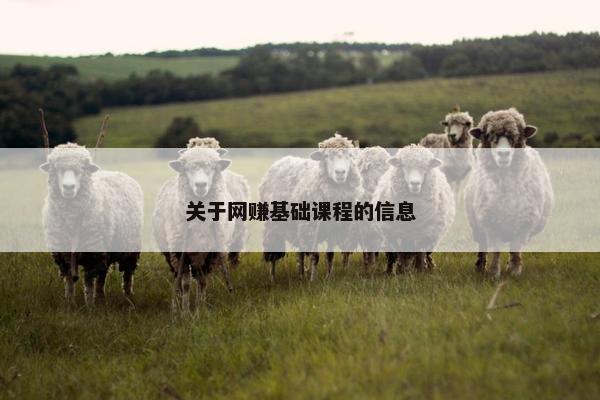 关于网赚基础课程的信息