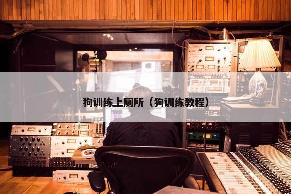 狗训练上厕所（狗训练教程）