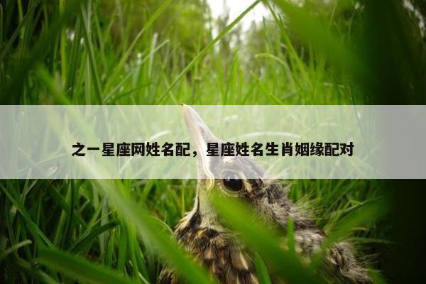 之一星座网姓名配，星座姓名生肖姻缘配对