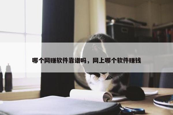 哪个网赚软件靠谱吗，网上哪个软件赚钱