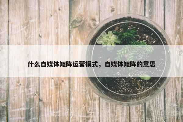 什么自媒体矩阵运营模式，自媒体矩阵的意思