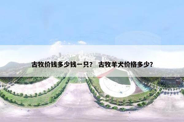 古牧价钱多少钱一只？ 古牧羊犬价格多少？