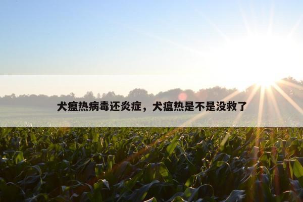 犬瘟热病毒还炎症，犬瘟热是不是没救了