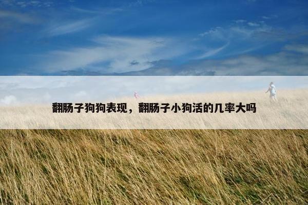 翻肠子狗狗表现，翻肠子小狗活的几率大吗