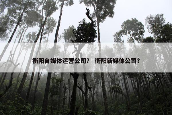 衡阳自媒体运营公司？ 衡阳新媒体公司？