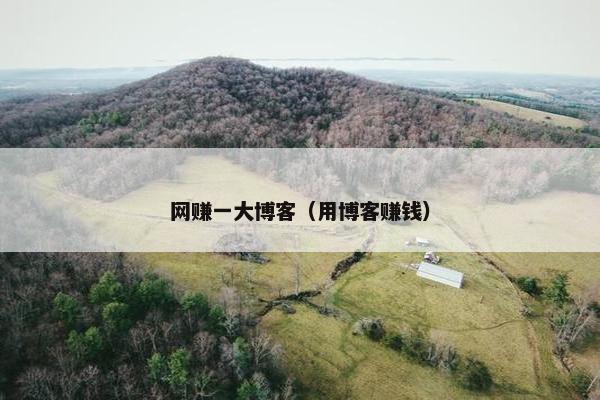 网赚一大博客（用博客赚钱）