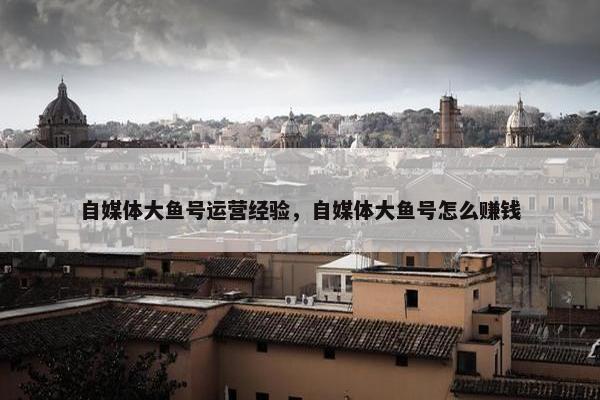 自媒体大鱼号运营经验，自媒体大鱼号怎么赚钱