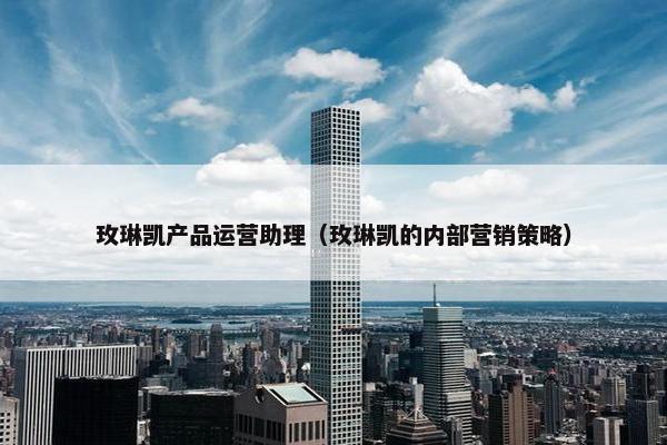 玫琳凯产品运营助理（玫琳凯的内部营销策略）