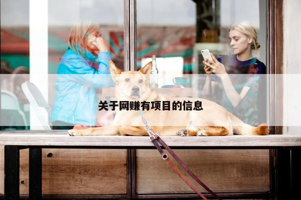 关于网赚有项目的信息