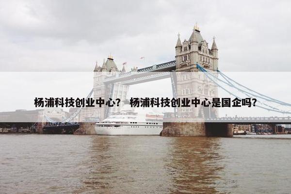 杨浦科技创业中心？ 杨浦科技创业中心是国企吗？