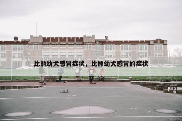 比熊幼犬感冒症状，比熊幼犬感冒的症状