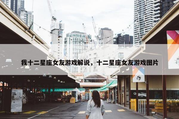 我十二星座女友游戏解说，十二星座女友游戏图片