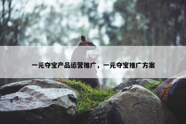 一元夺宝产品运营推广，一元夺宝推广方案