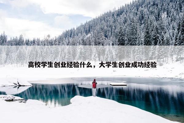 高校学生创业经验什么，大学生创业成功经验