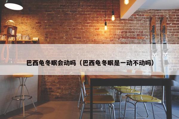 巴西龟冬眠会动吗（巴西龟冬眠是一动不动吗）