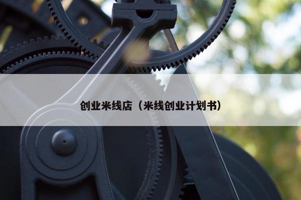 创业米线店（米线创业计划书）