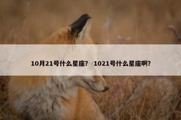 10月21号什么星座？ 1021号什么星座啊？