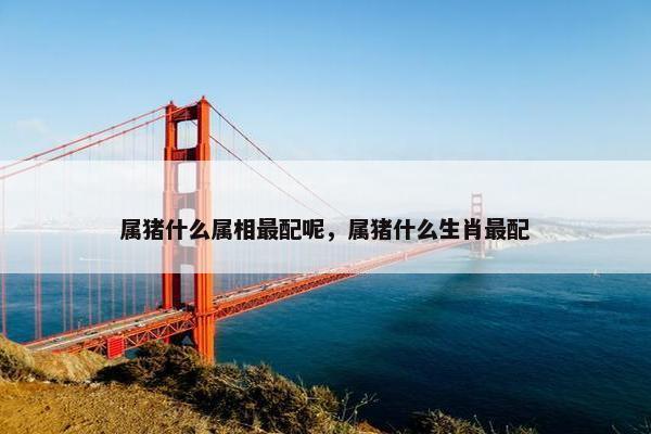 属猪什么属相最配呢，属猪什么生肖最配