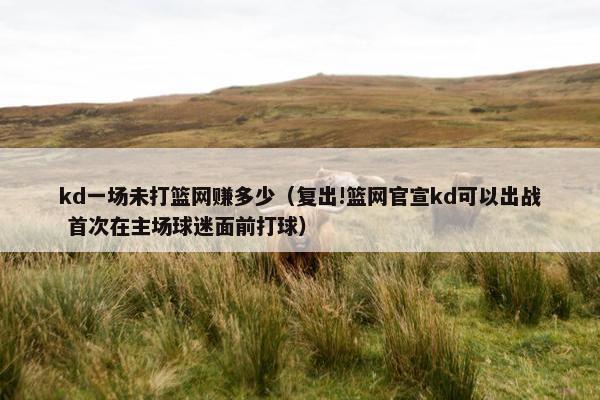kd一场未打篮网赚多少（复出!篮网官宣kd可以出战 首次在主场球迷面前打球）