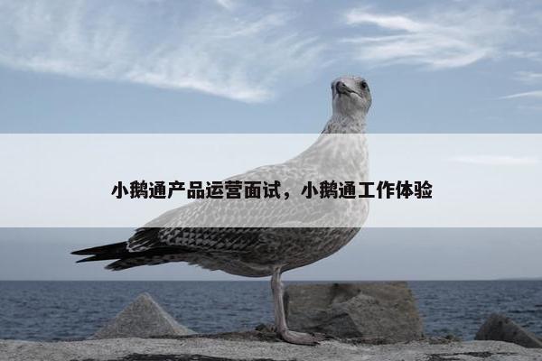 小鹅通产品运营面试，小鹅通工作体验