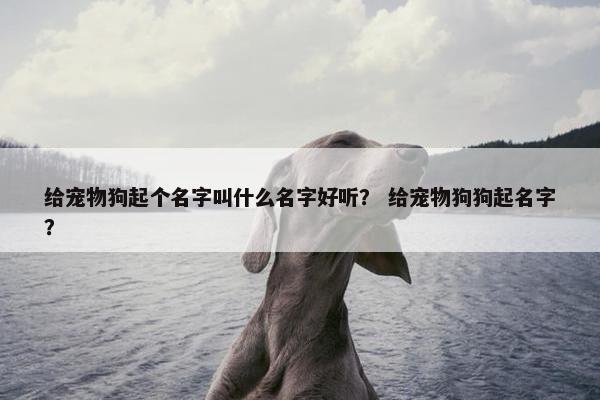 给宠物狗起个名字叫什么名字好听？ 给宠物狗狗起名字？