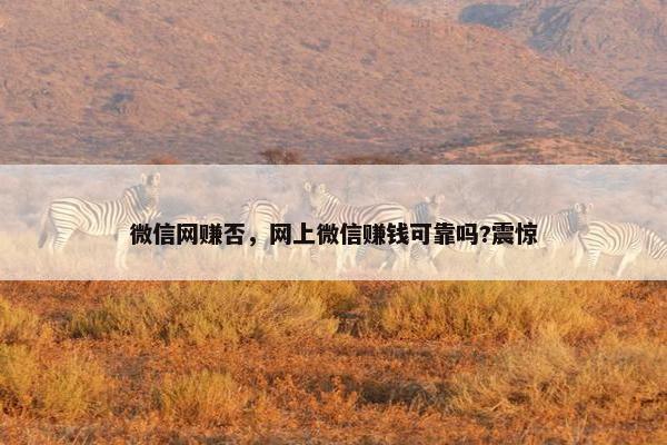 微信网赚否，网上微信赚钱可靠吗?震惊