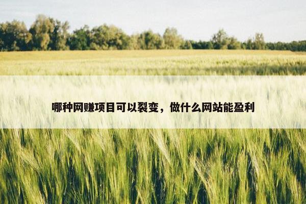 哪种网赚项目可以裂变，做什么网站能盈利