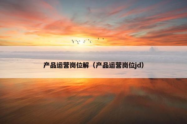 产品运营岗位解（产品运营岗位jd）