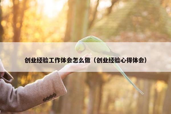 创业经验工作体会怎么做（创业经验心得体会）