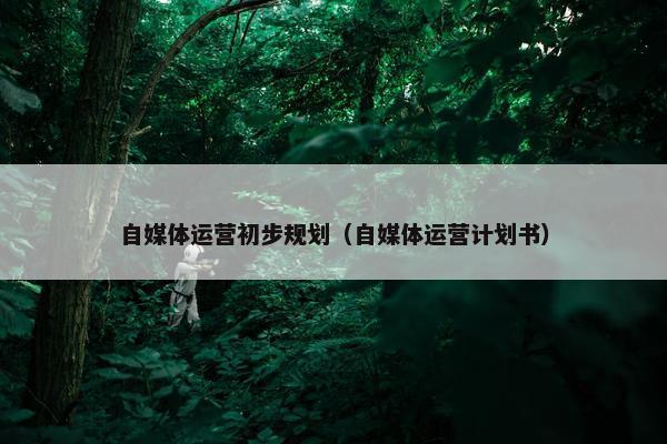 自媒体运营初步规划（自媒体运营计划书）