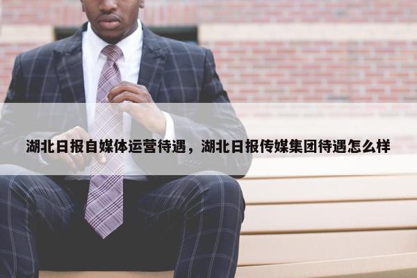 湖北日报自媒体运营待遇，湖北日报传媒集团待遇怎么样