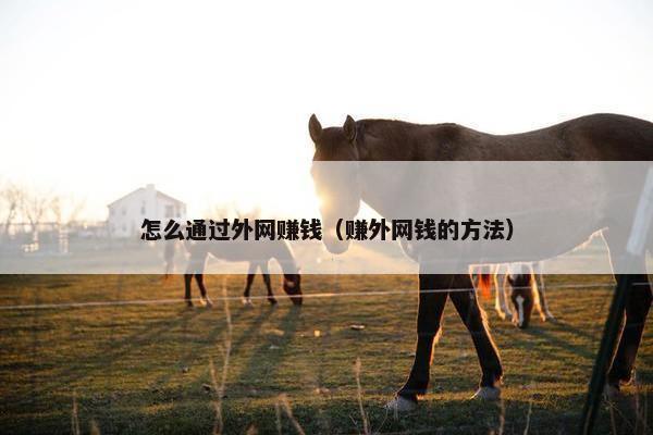 怎么通过外网赚钱（赚外网钱的方法）