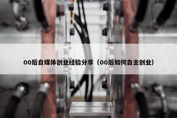 00后自媒体创业经验分享（00后如何自主创业）