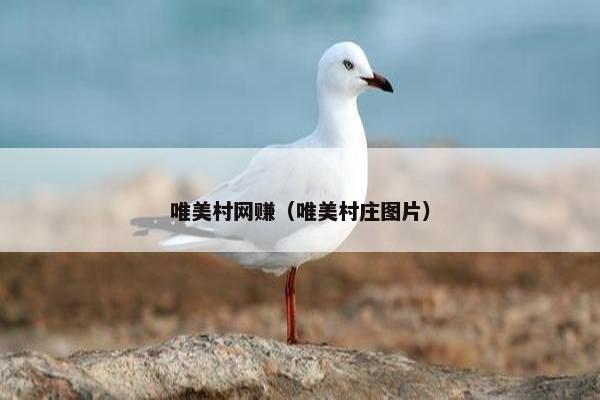 唯美村网赚（唯美村庄图片）