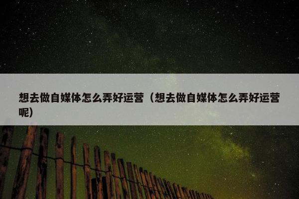 想去做自媒体怎么弄好运营(想去做自媒体怎么弄好运营呢)