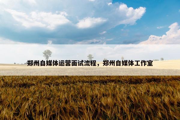 郑州自媒体运营面试流程,郑州自媒体工作室