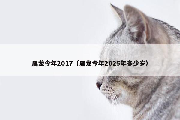 属龙今年2017（属龙今年2025年多少岁）