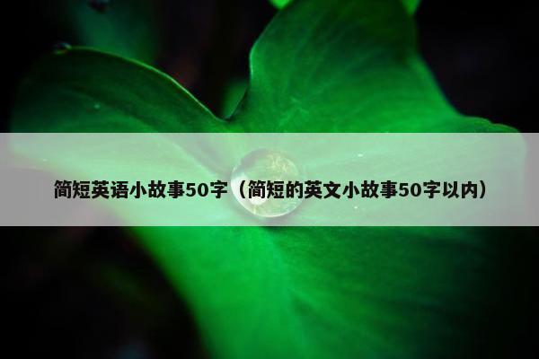 简短英语小故事50字(简短的英文小故事50字以内)
