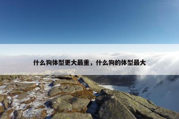 什么狗体型更大最重,什么狗的体型最大