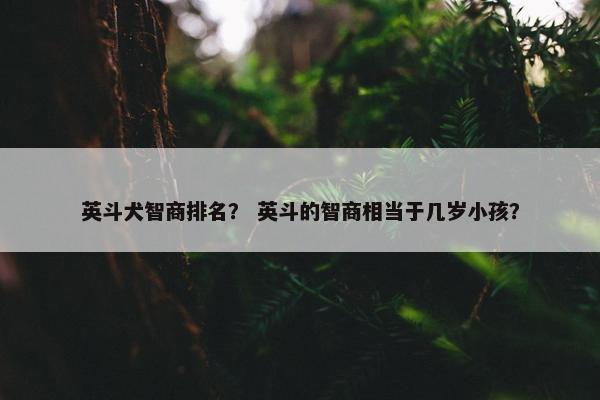 英斗犬智商排名? 英斗的智商相当于几岁小孩?