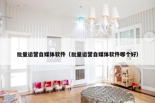 批量运营自媒体软件（批量运营自媒体软件哪个好）