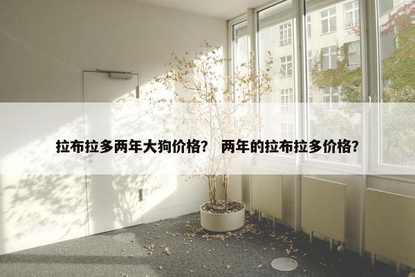 拉布拉多两年大狗价格？ 两年的拉布拉多价格？