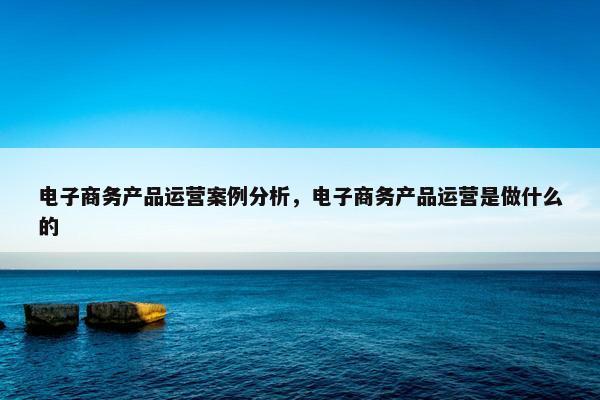电子商务产品运营案例分析,电子商务产品运营是做什么的